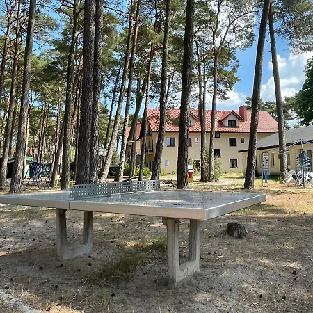 Pokoje Delfin Bed & Breakfast Mrzeżyno